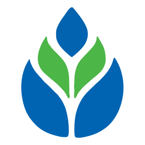 Gramin Bank